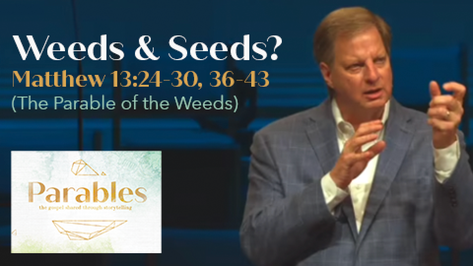 Weeds or Seeds?